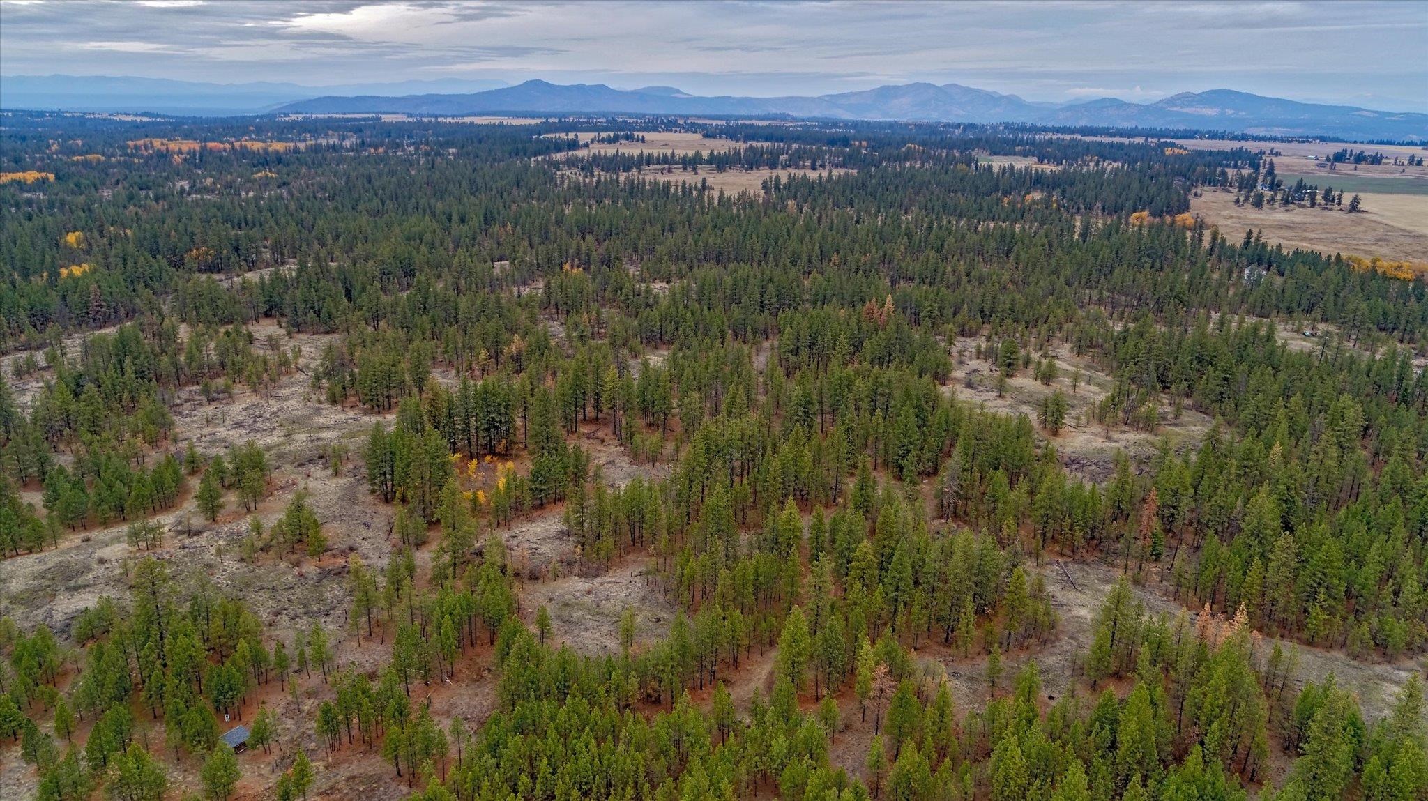 18818 W Burnett Rd, Spokane, WA 99224