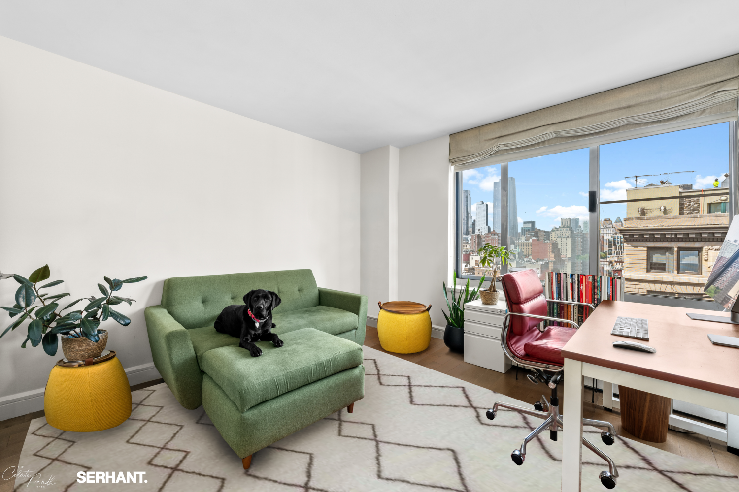 270 W 17TH Street 12BC