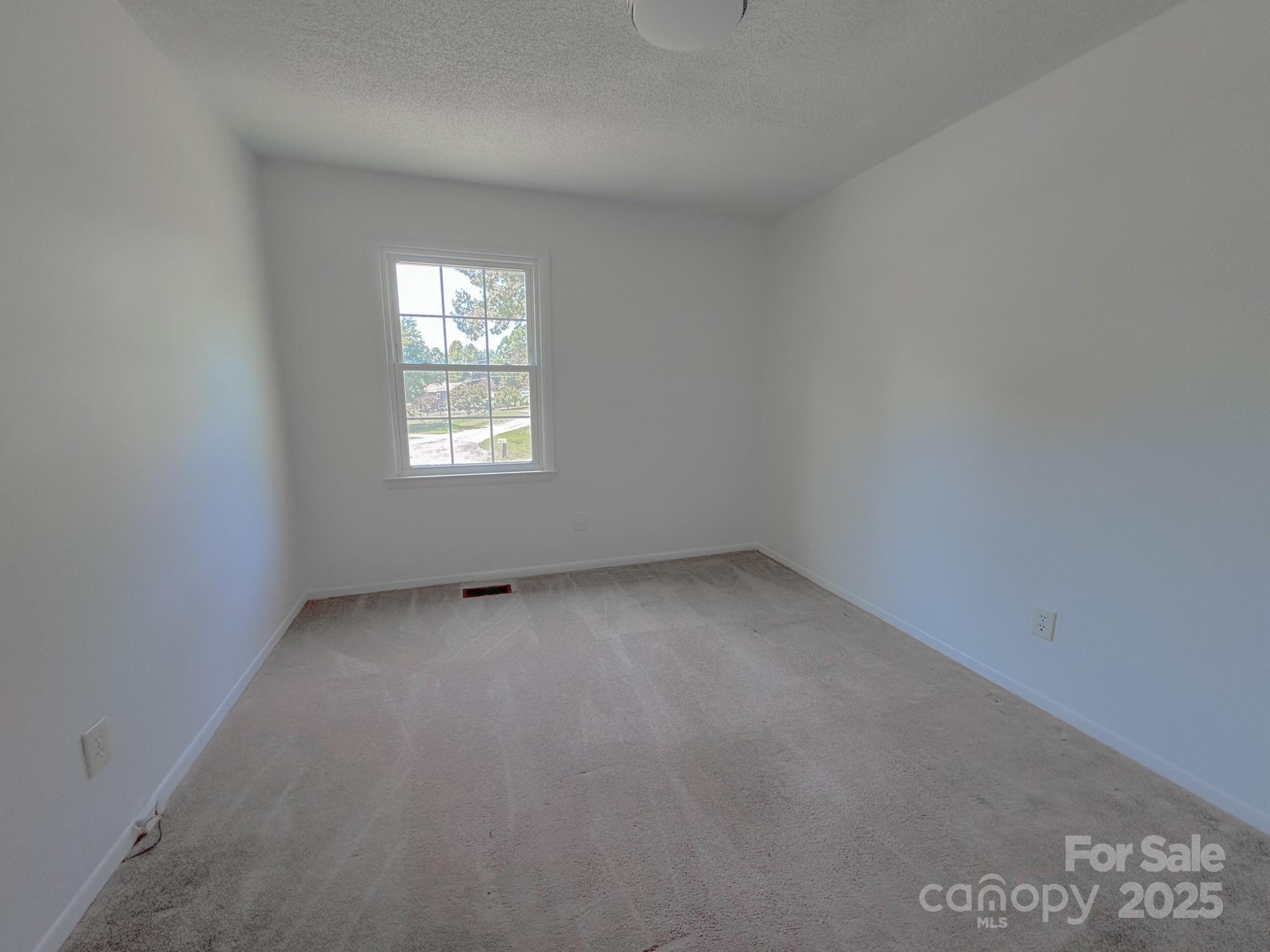 115 Setter Court