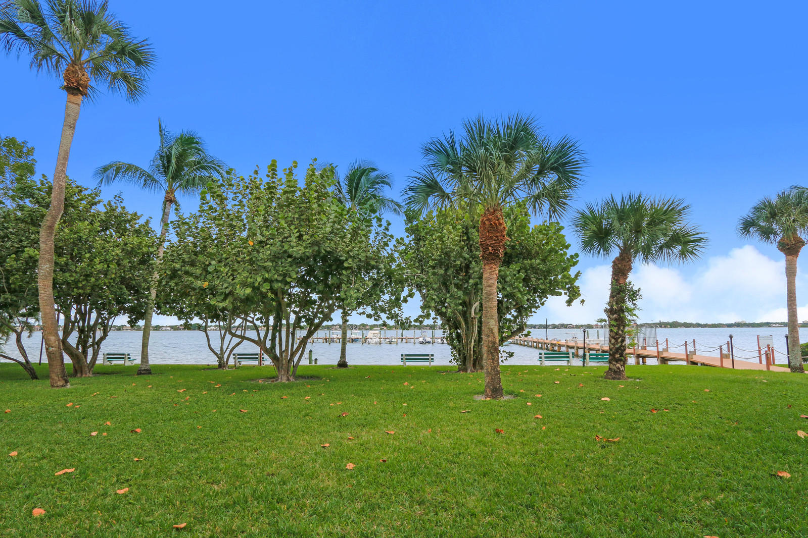 825 Center Street 12a