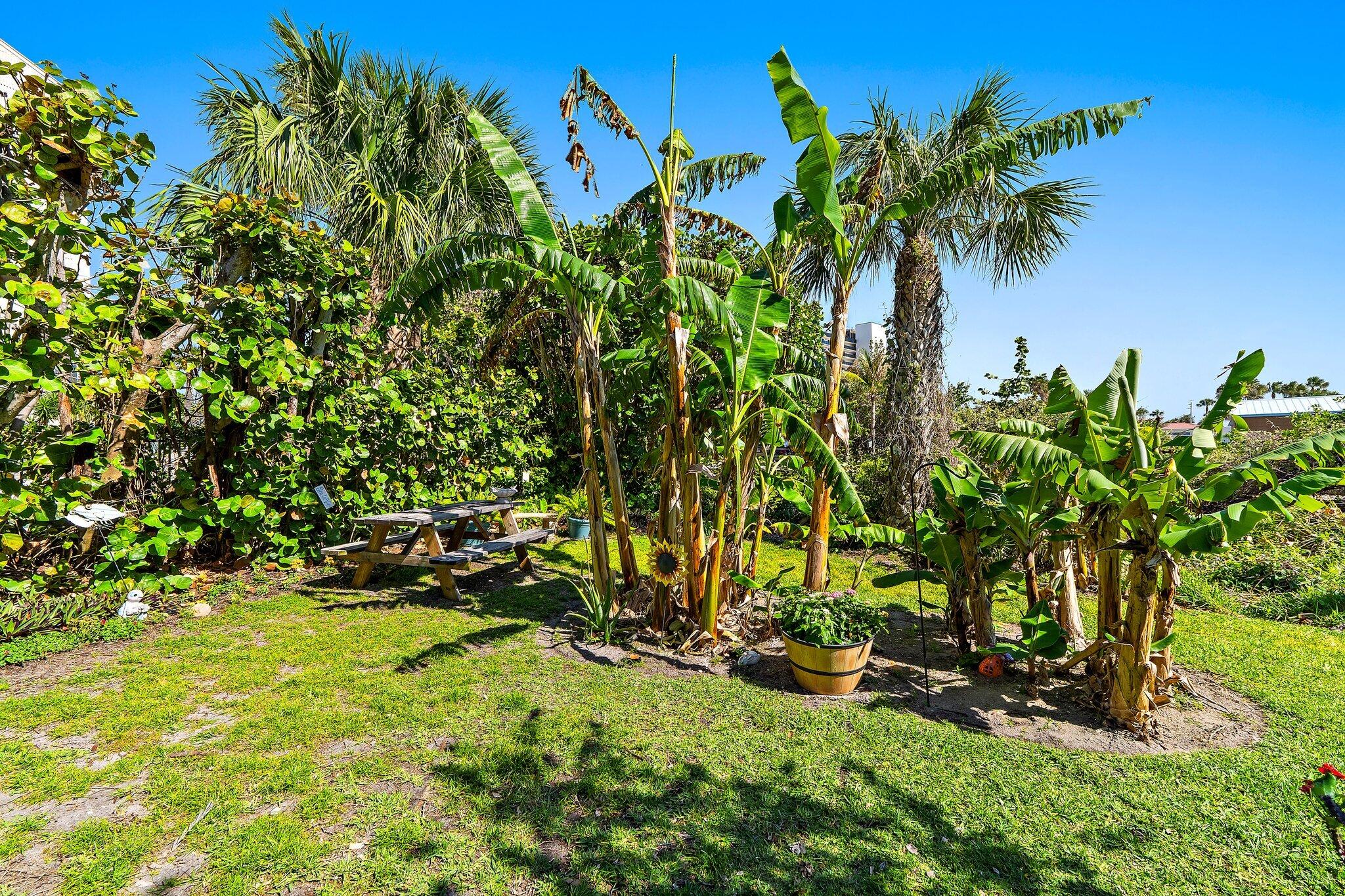 10310 S Ocean Drive 205