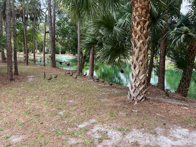 17101 Haynie Lane, Farms