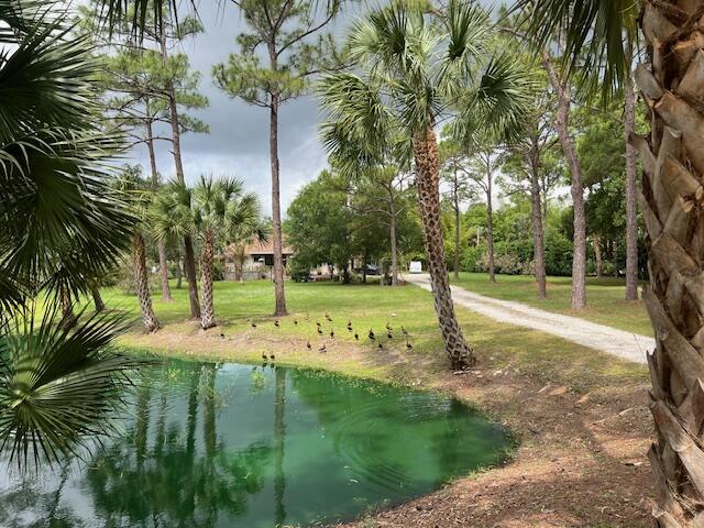 17101 Haynie Lane, Farms