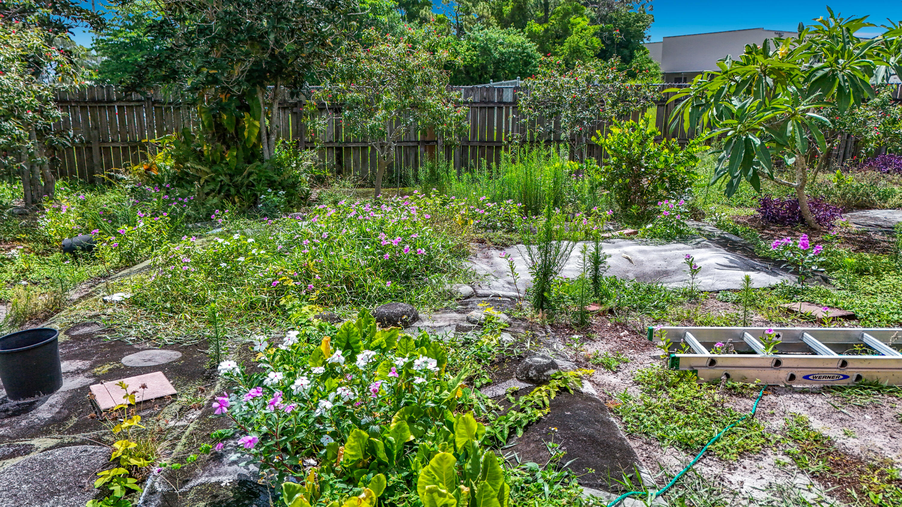 2066 Tarragon Road