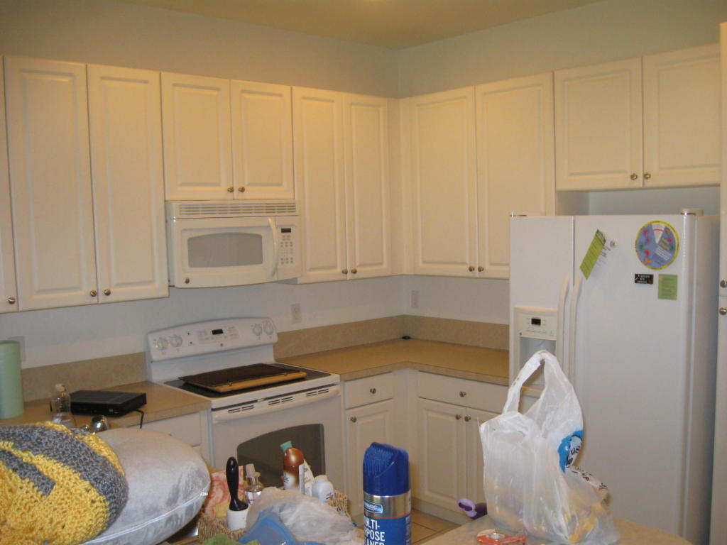 9461 SW Pruple Martin Way