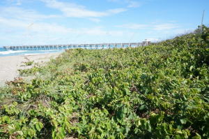 816 Ocean Dunes Circle 816