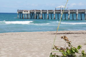 816 Ocean Dunes Circle 816