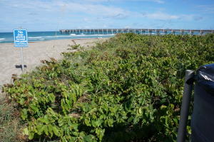 816 Ocean Dunes Circle 816