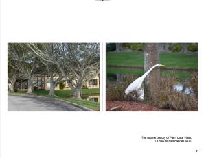 4831 Via Palm Lakes 1222