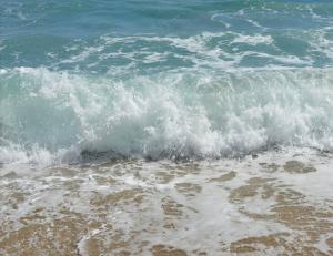 4831 Via Palm Lakes 1222