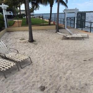 1110 Lake Shore Drive 101