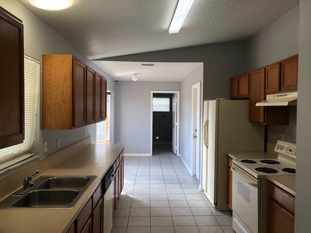 49 W Rubber Tree Drive