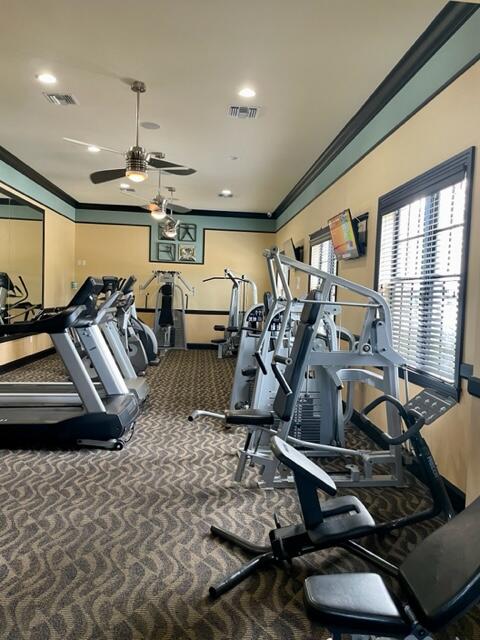 4903 Midtown Lane 3421