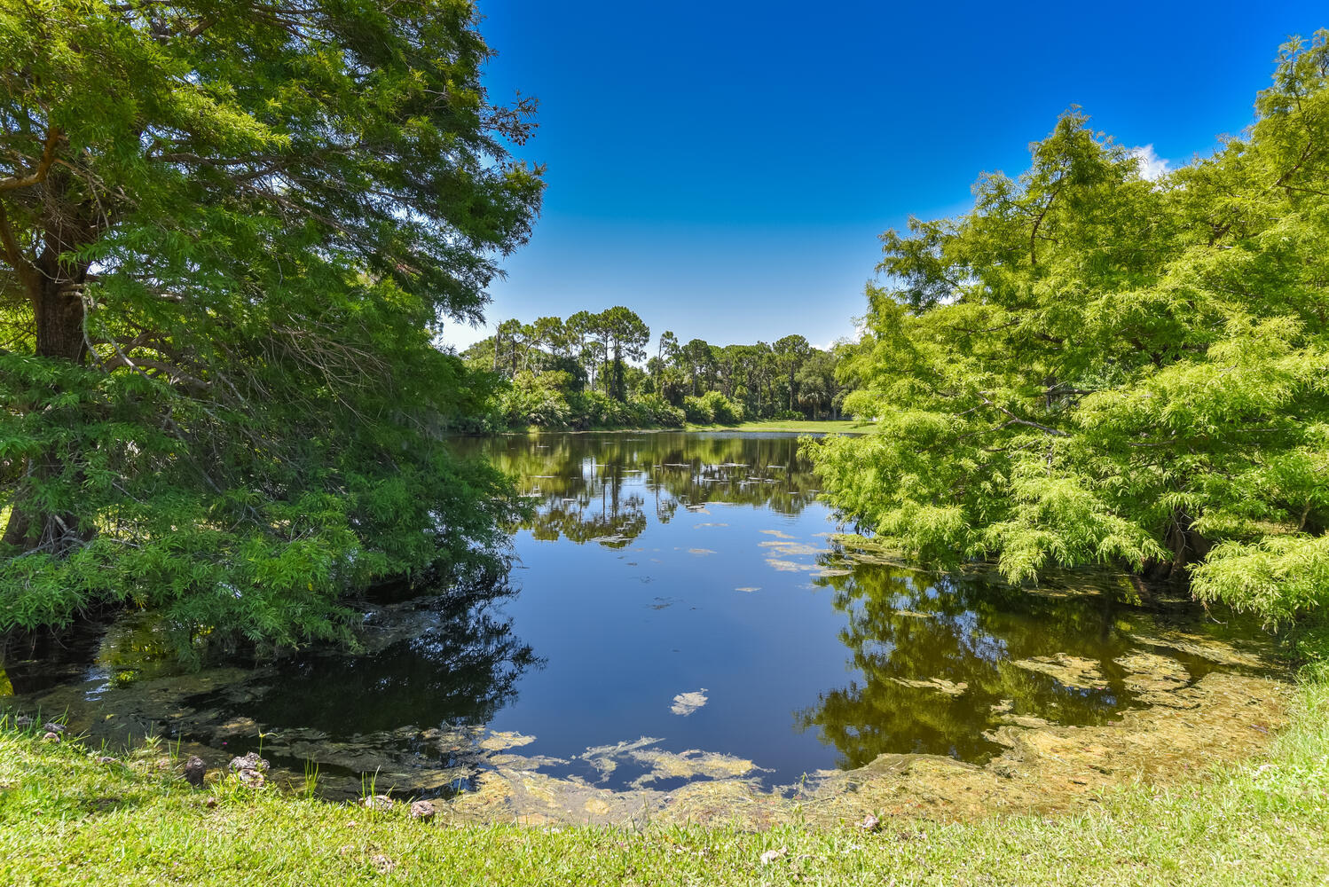 7447 SE Fiddlewood Lane