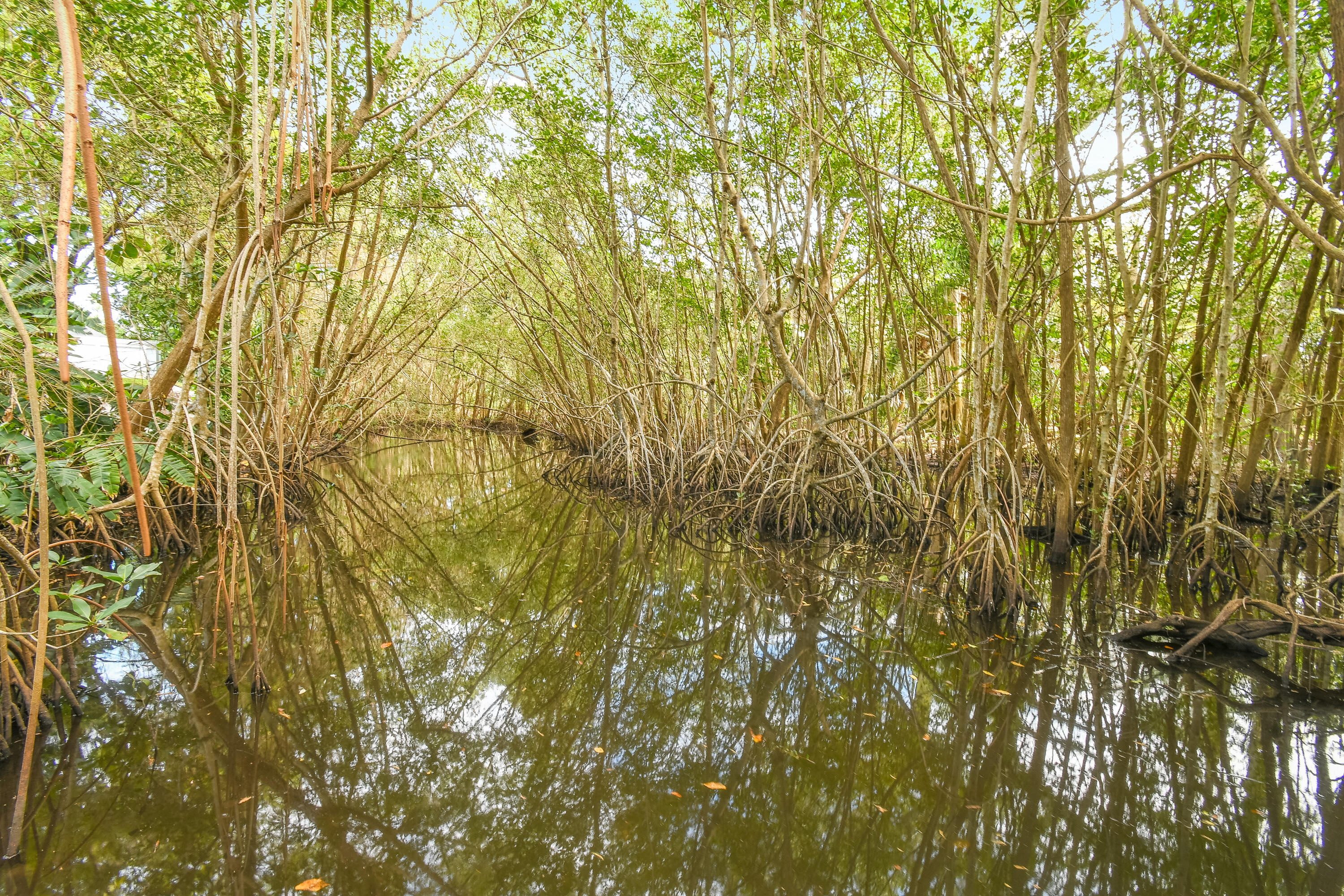 18251 Jupiter Landings Drive