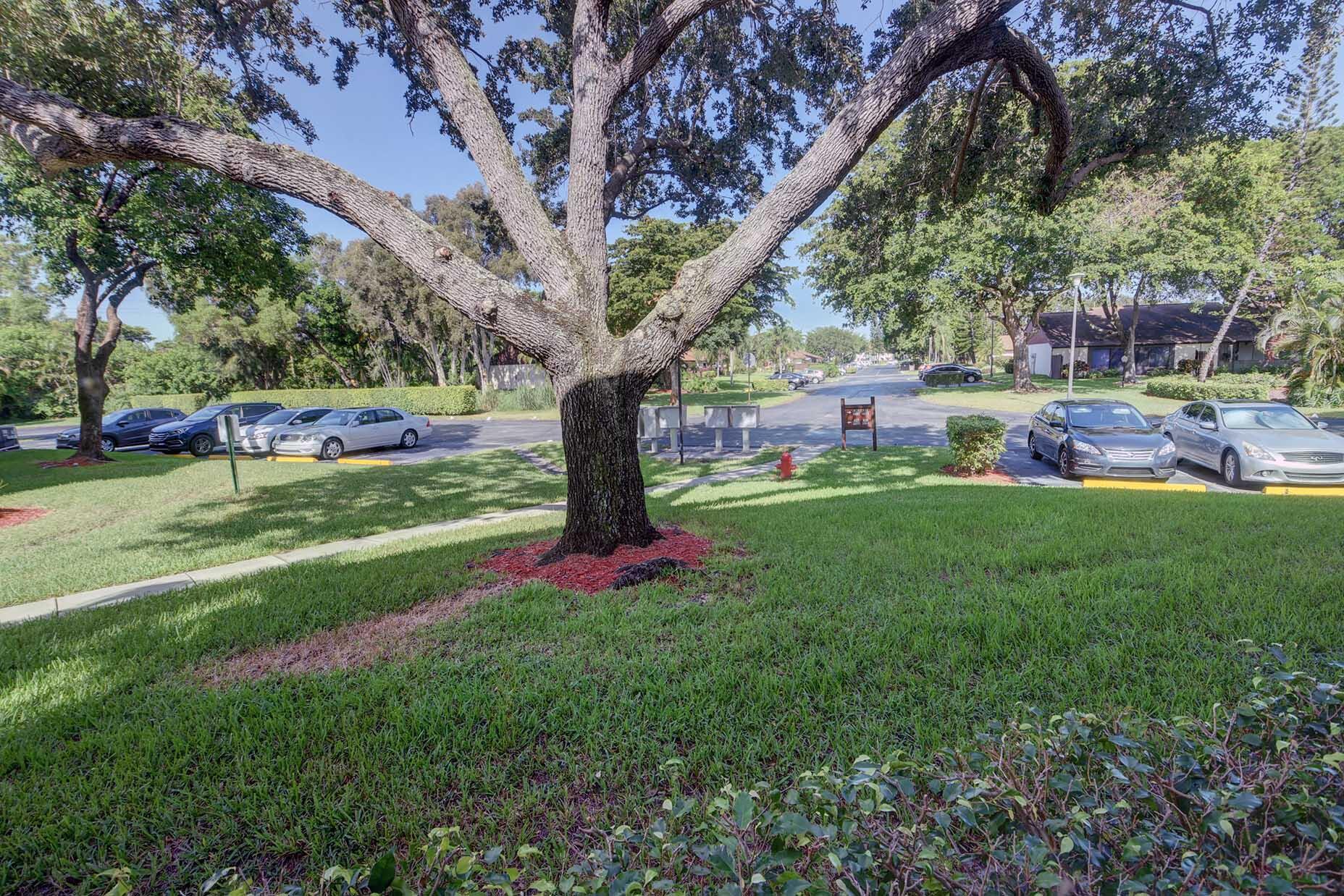 4891 Sable Pine Circle C1