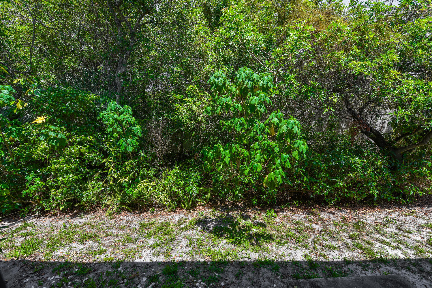 11109 SE Sea Pines Circle