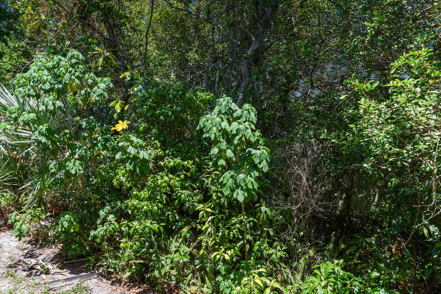 11109 SE Sea Pines Circle