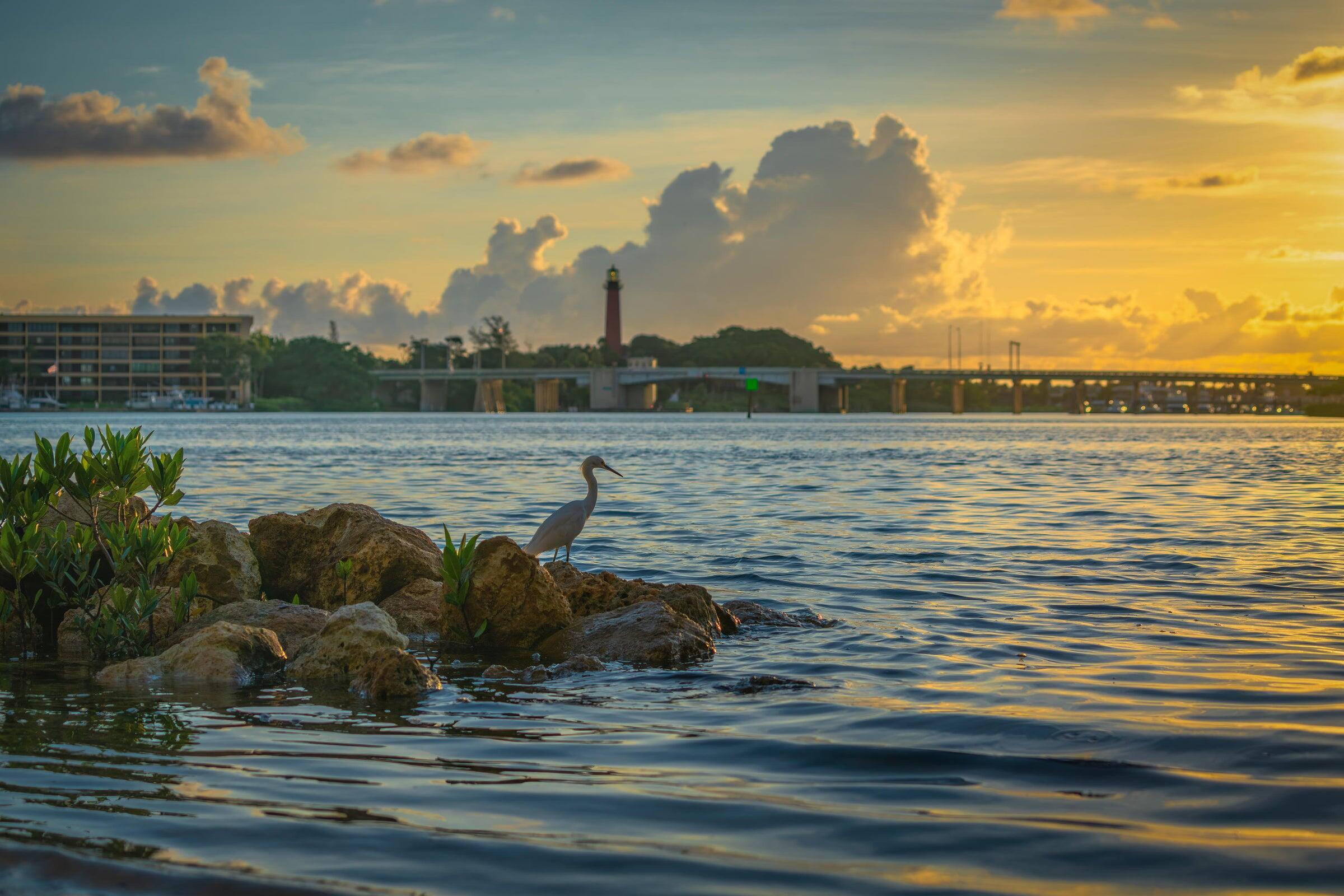 1100 E Indiantown Road 313