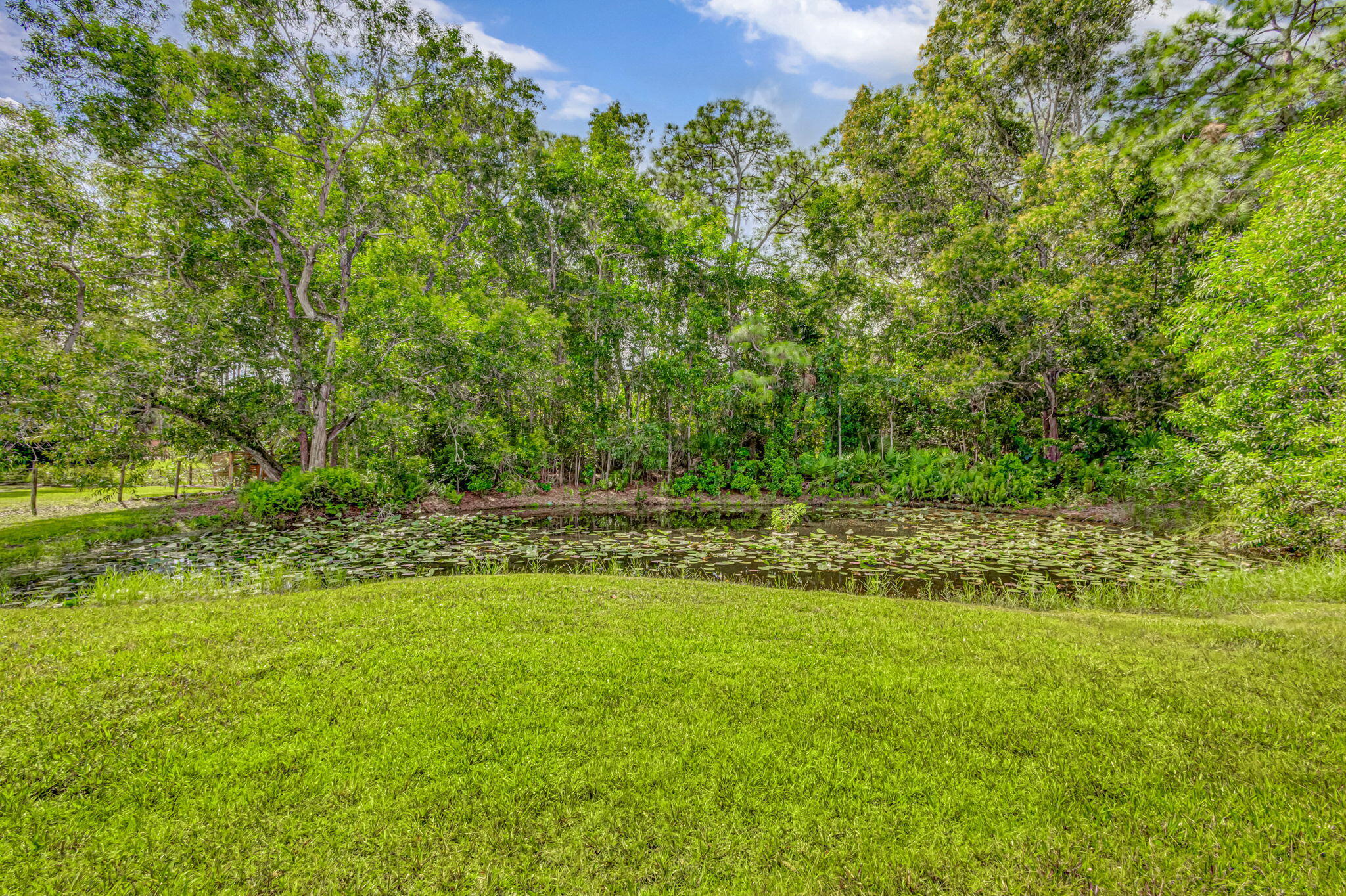 12168 Sandy Run Road