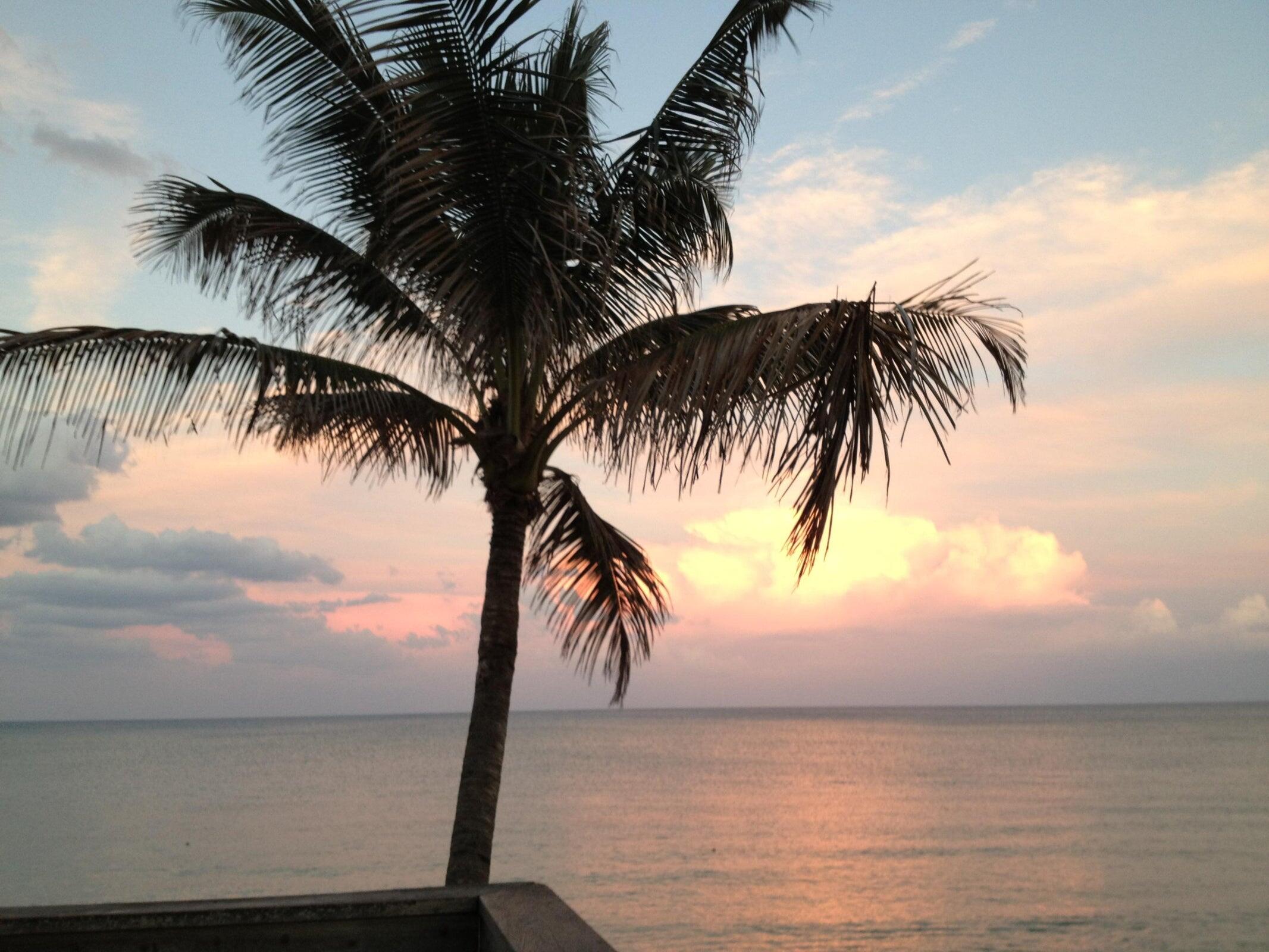 520 Bella Vista Court 20