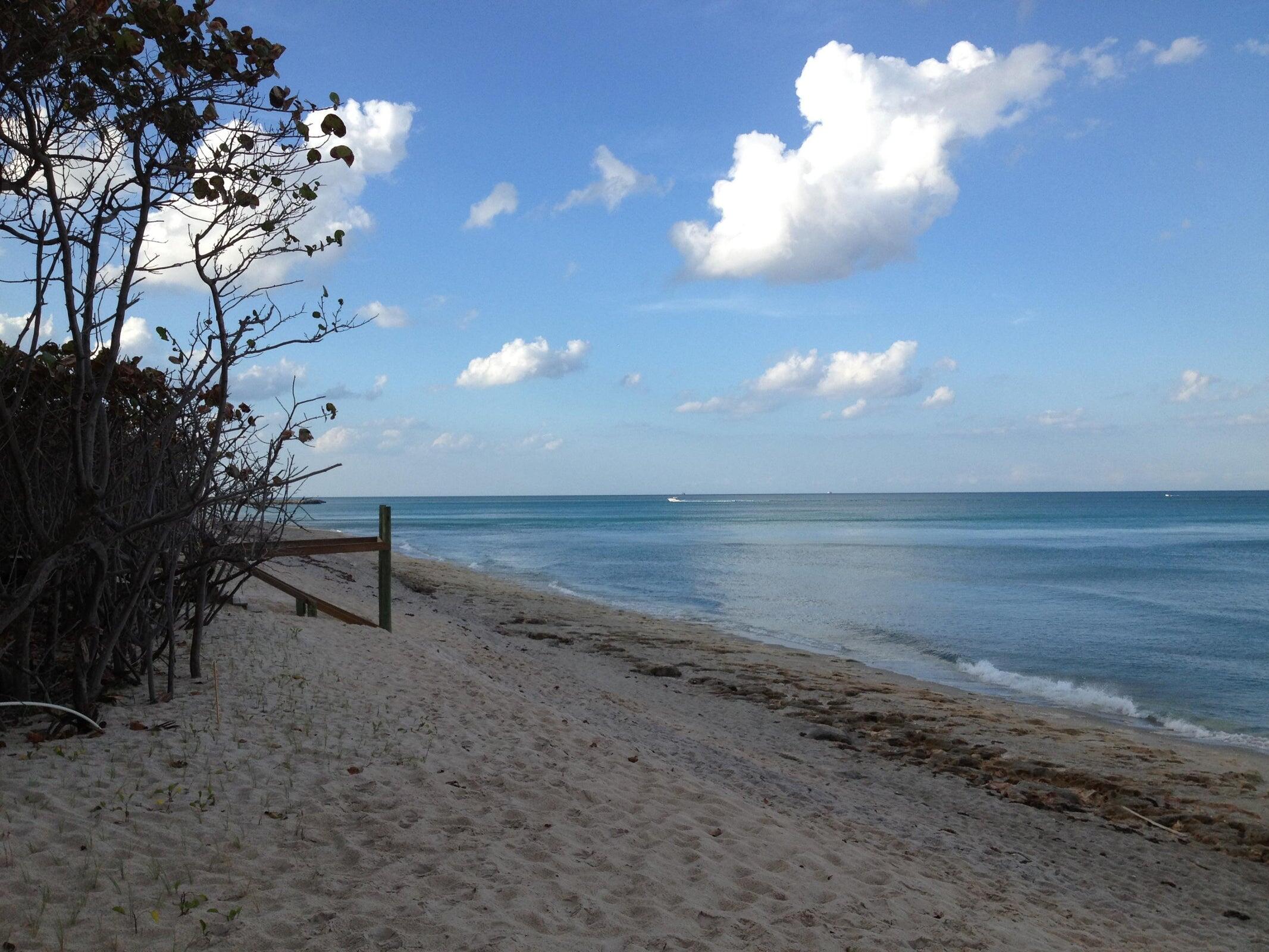 520 Bella Vista Court 20