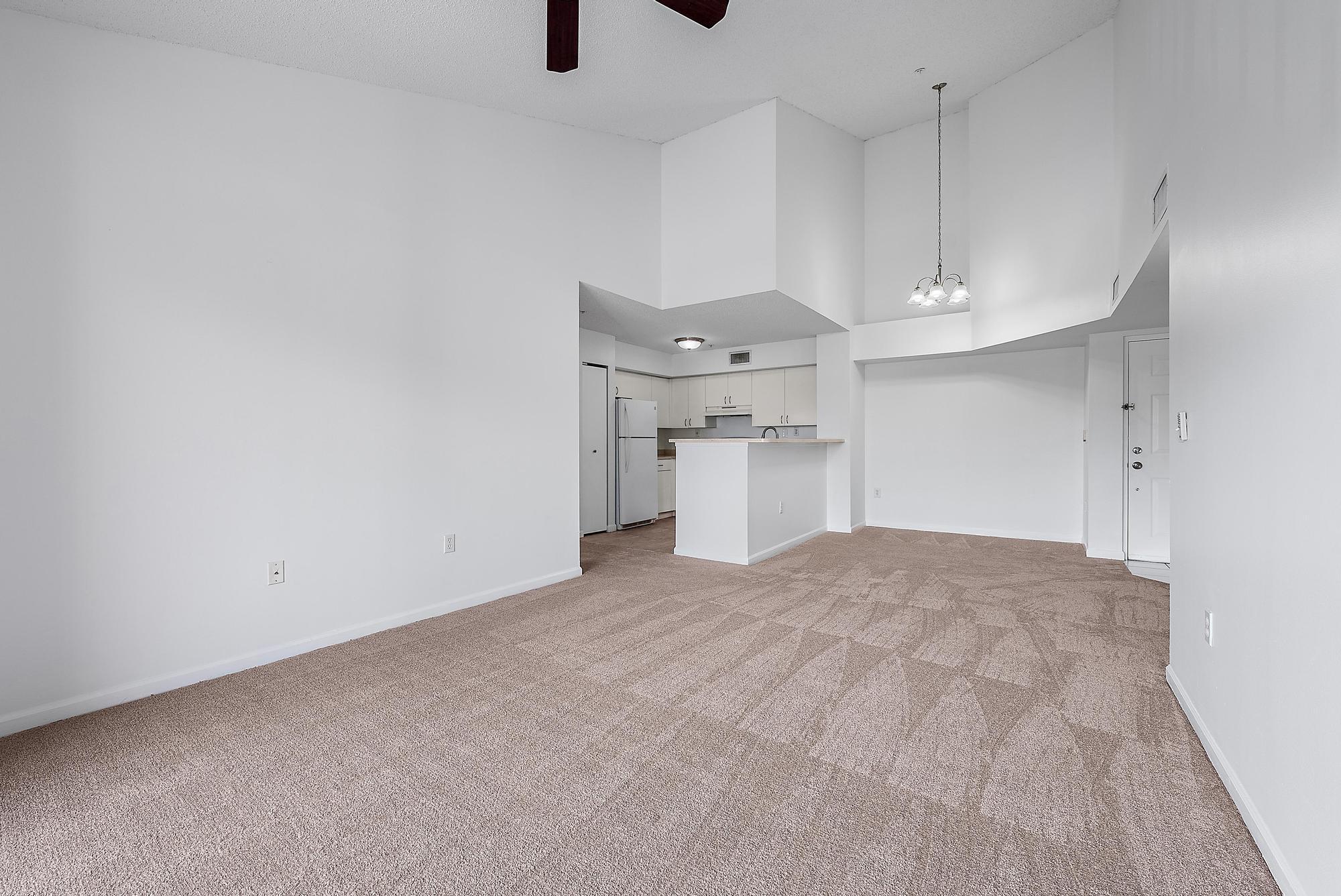 7912 Sonoma Springs Circle 303