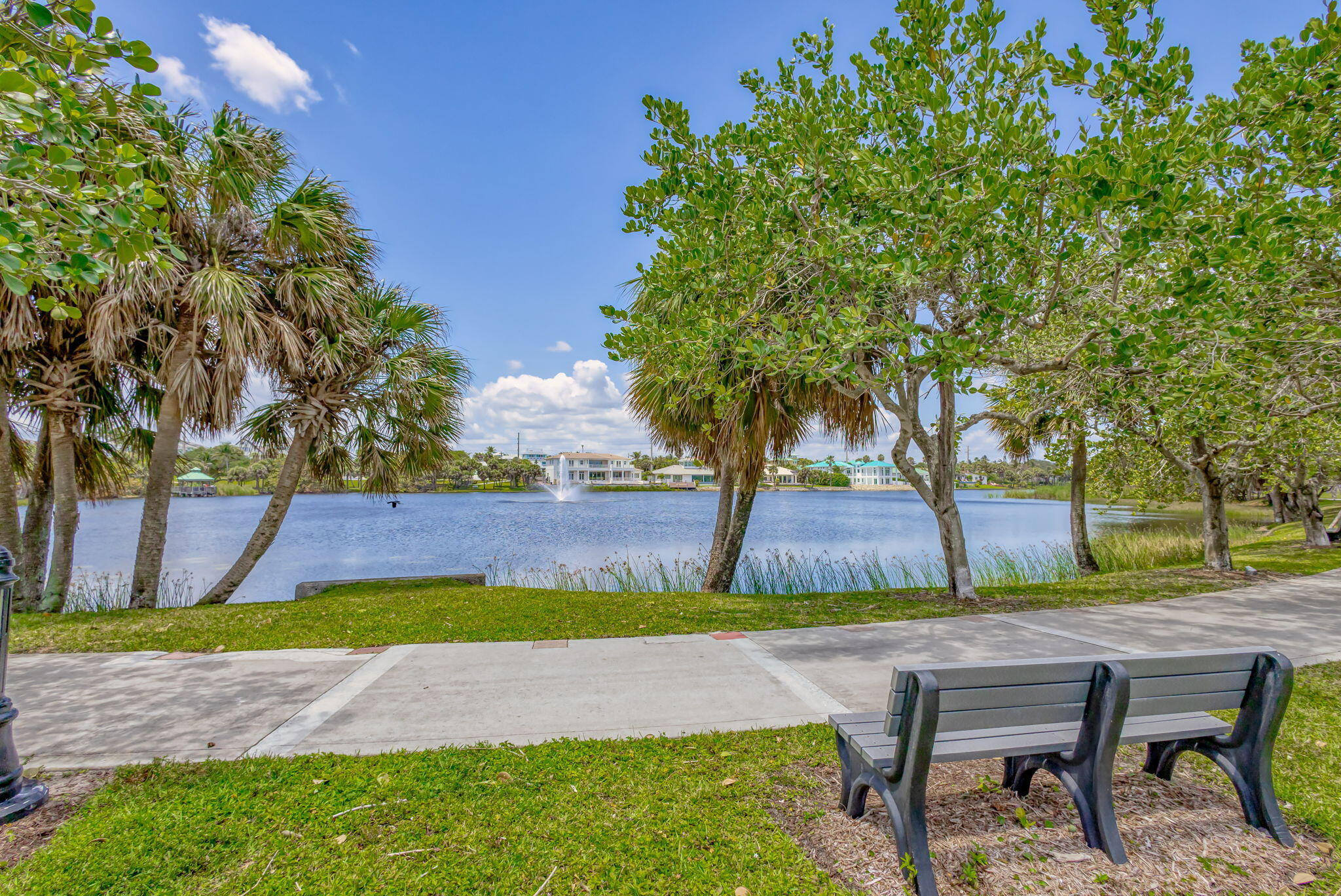 80 Celestial Way 213