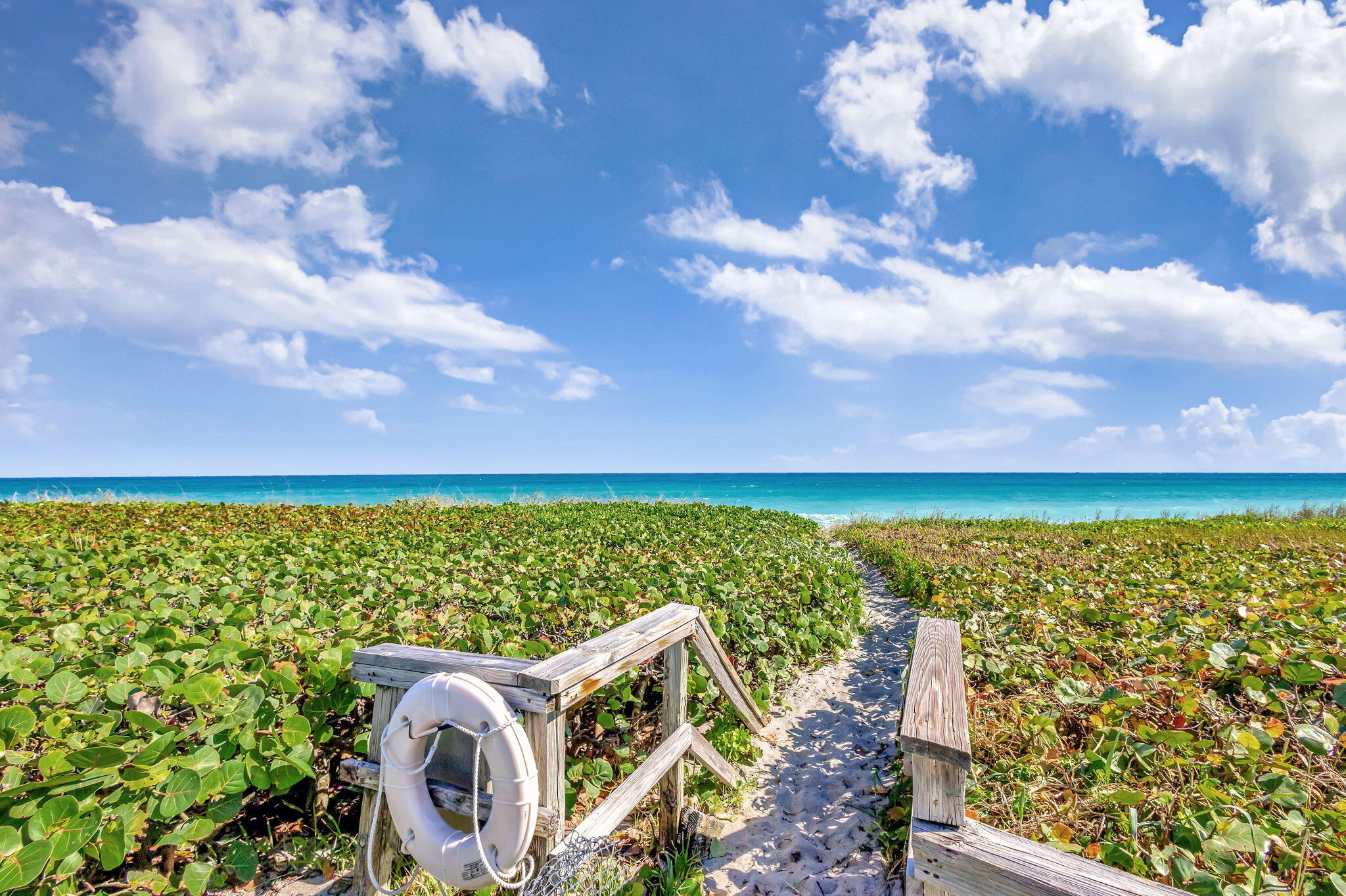 80 Celestial Way 213