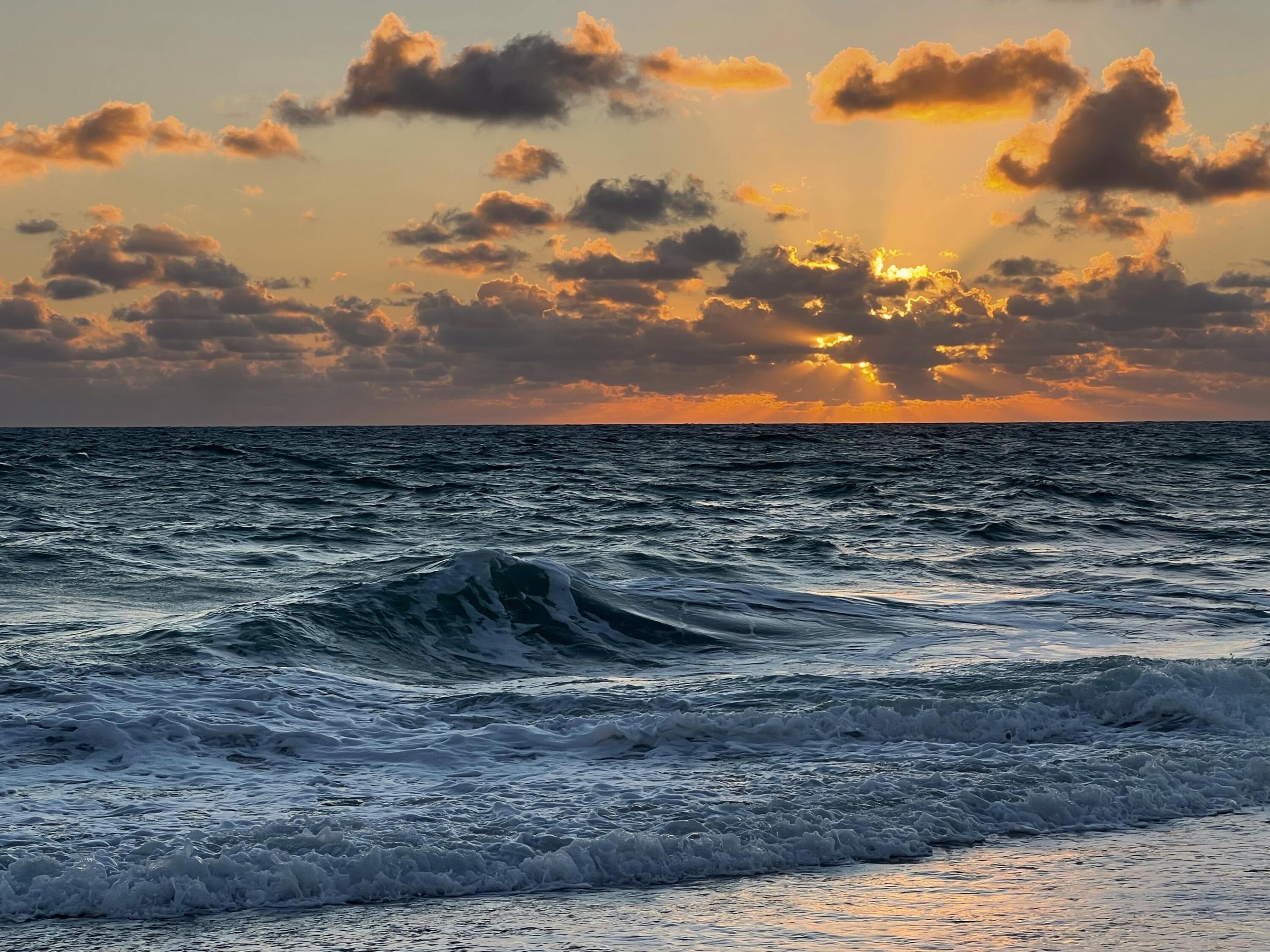 80 Celestial Way 213