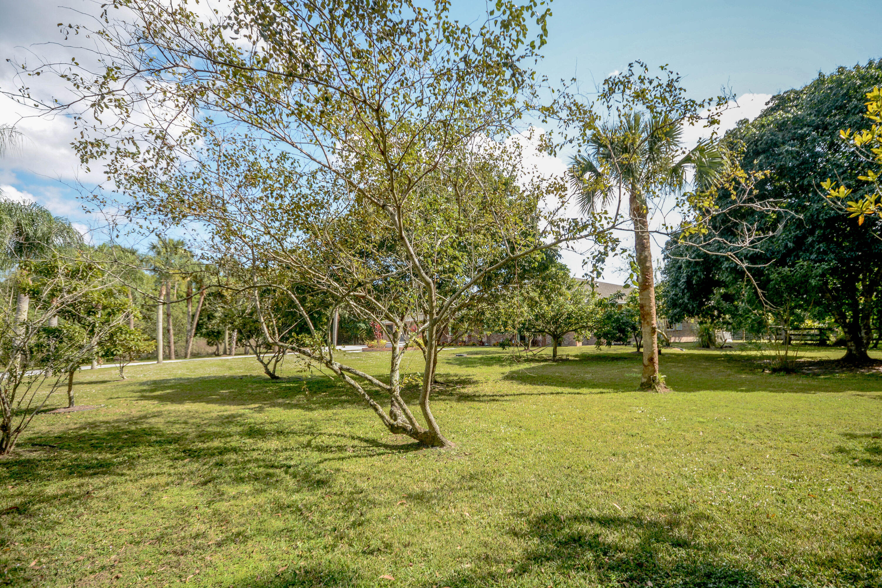 10534 Dogwood Trail