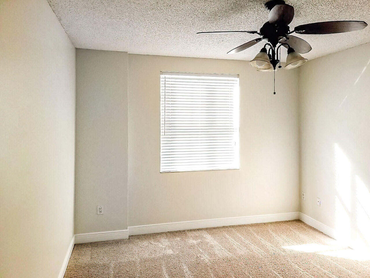 616 Clearwater Park Road 509