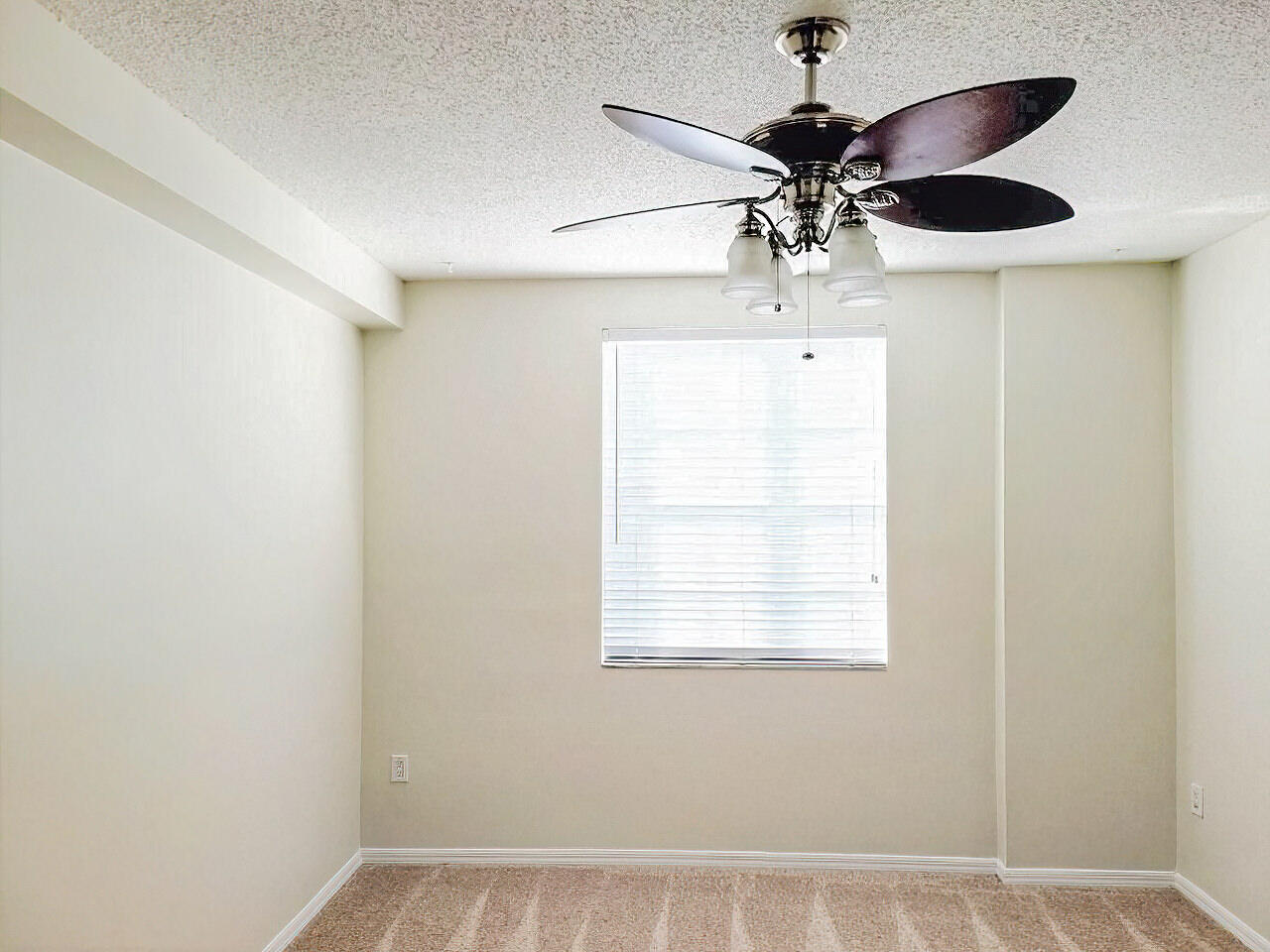 616 Clearwater Park Road 509