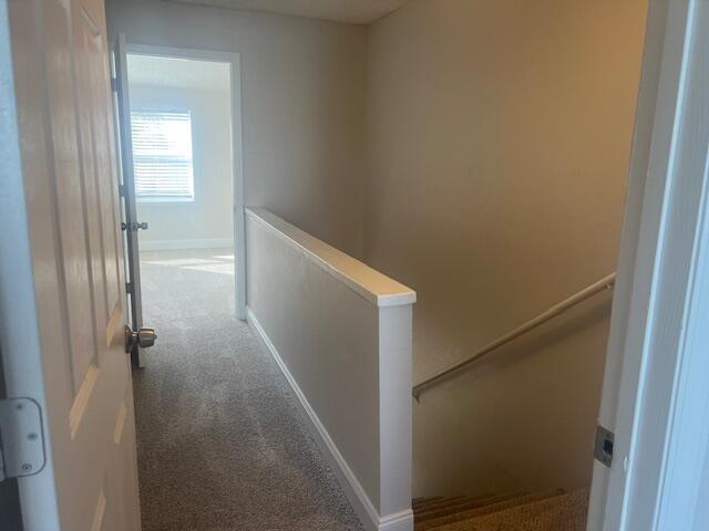 1000 Shorewinds Drive