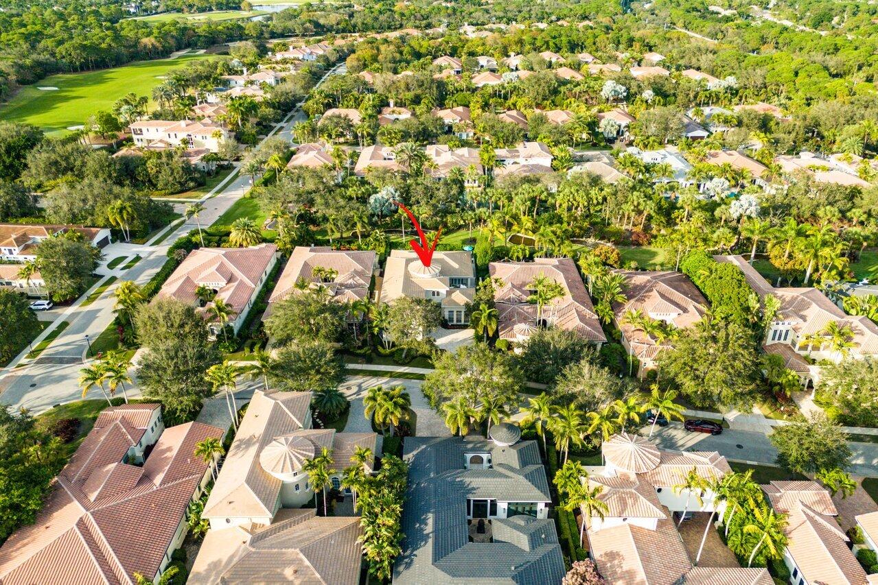 11205 Orange Hibiscus Lane