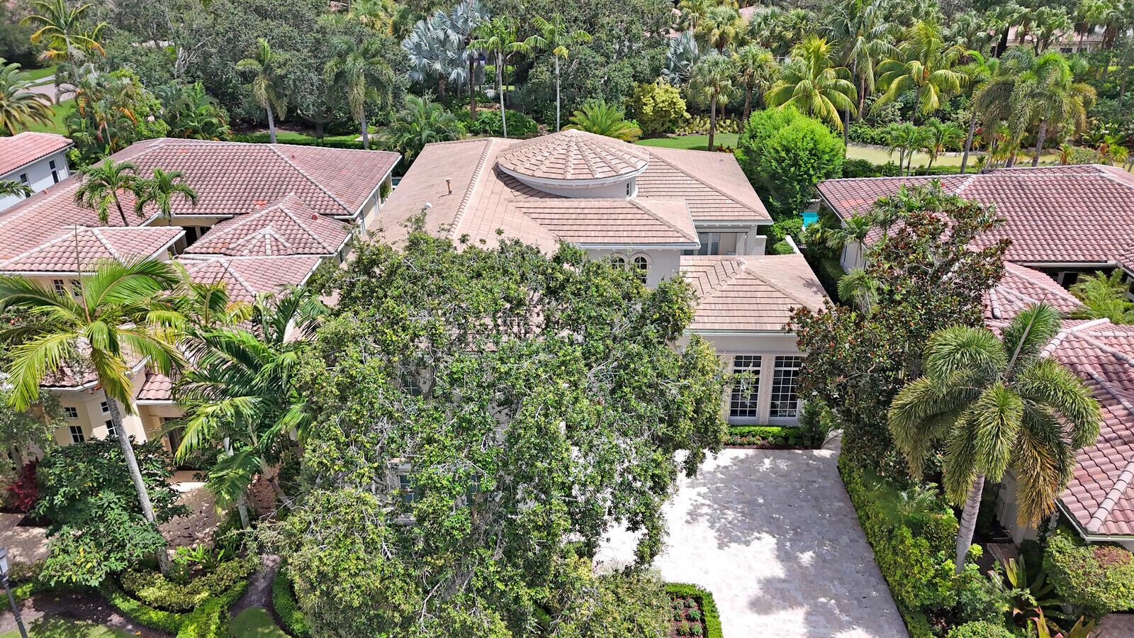 11205 Orange Hibiscus Lane