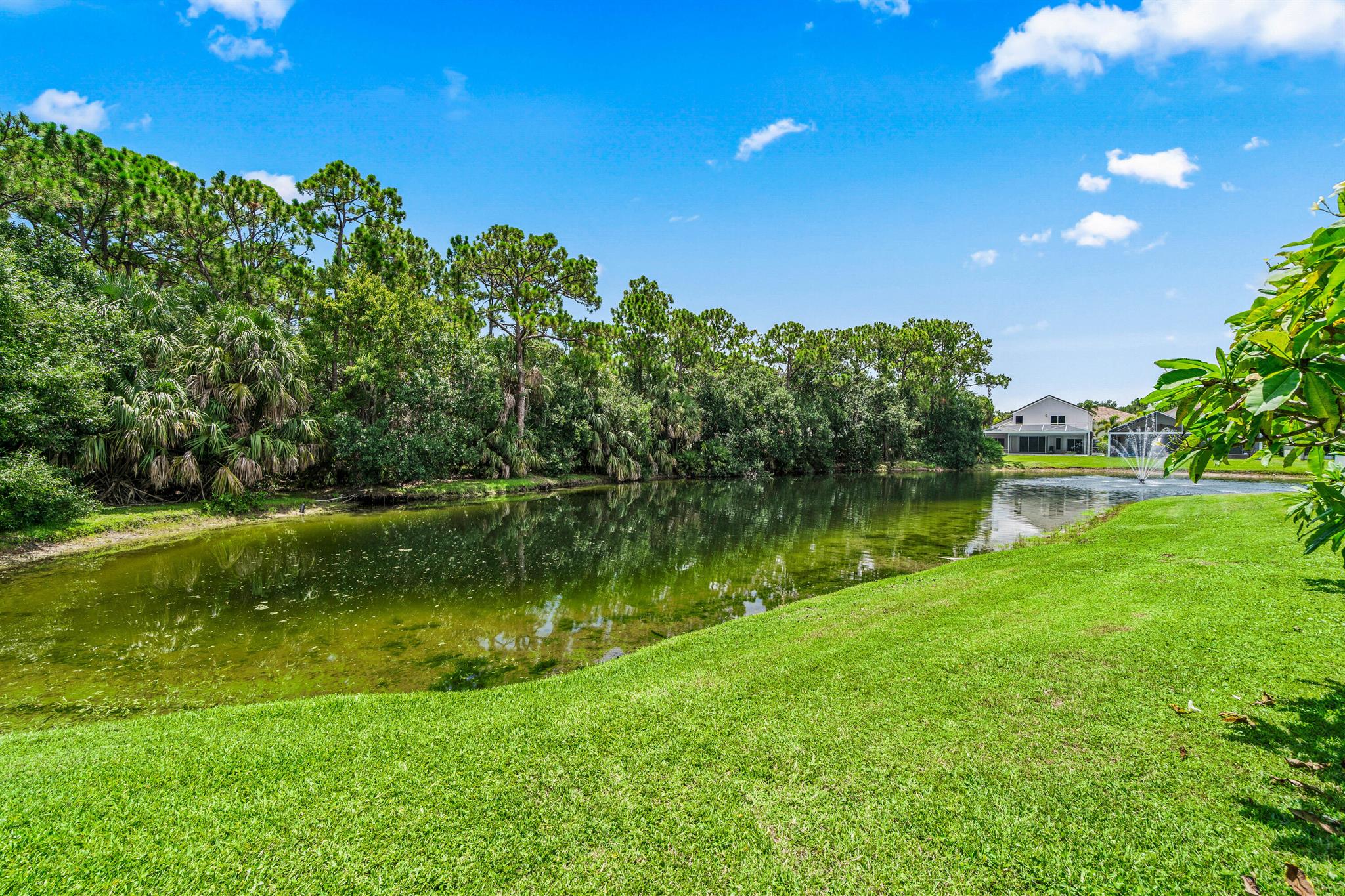 207 Pennock Trace Drive