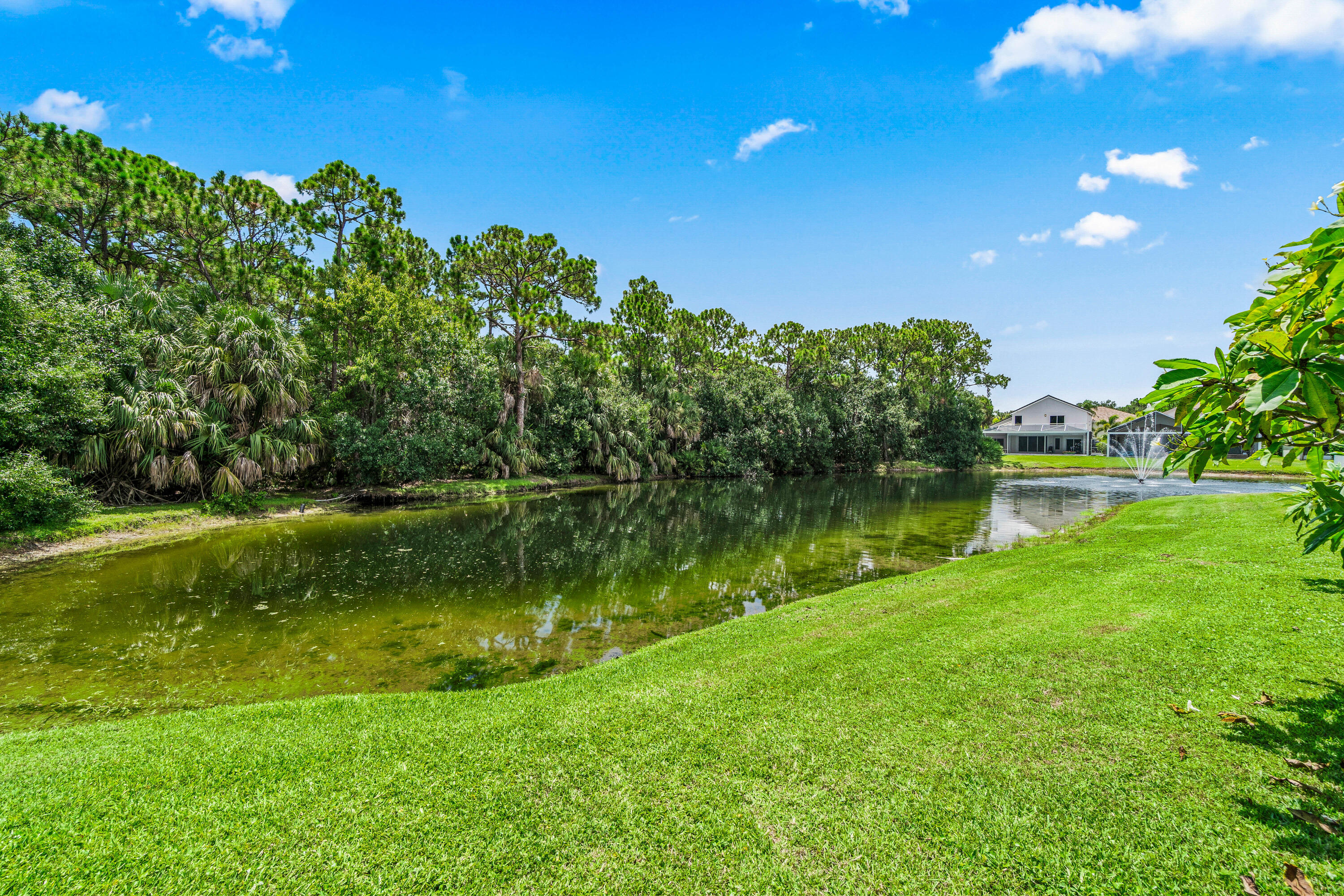 207 Pennock Trace Drive