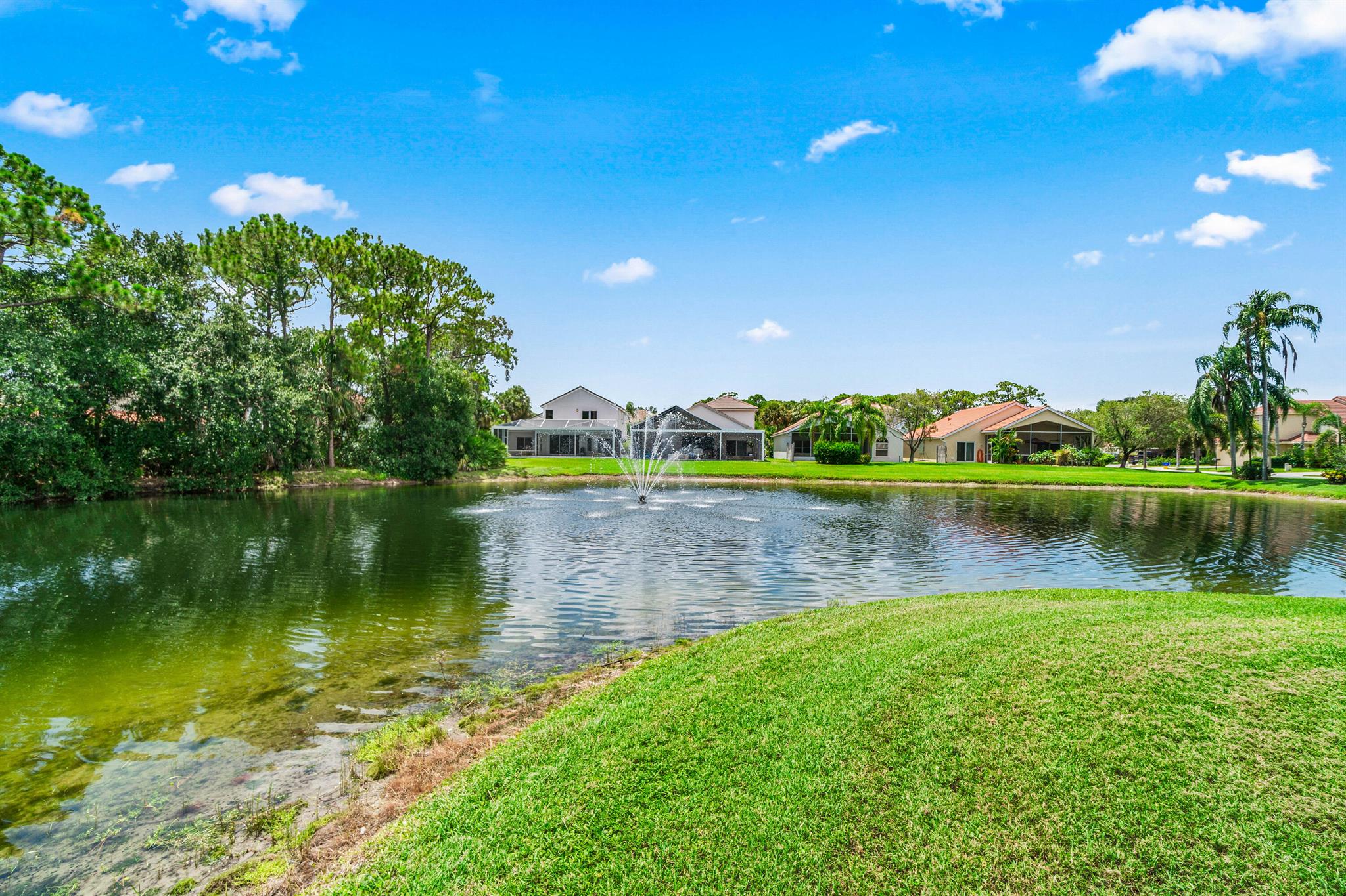 207 Pennock Trace Drive