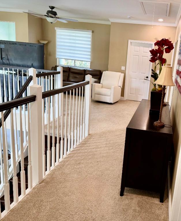 265 Swallowtail Lane