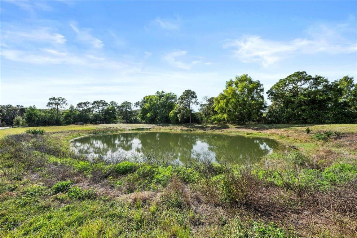 19187 Capet Creek Court