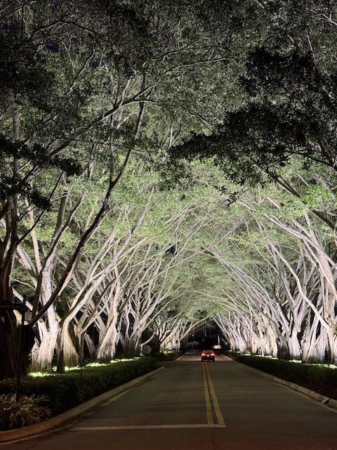 8216 Cypress Point Road, West Palm Beach