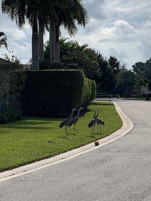 8216 Cypress Point Road, West Palm Beach