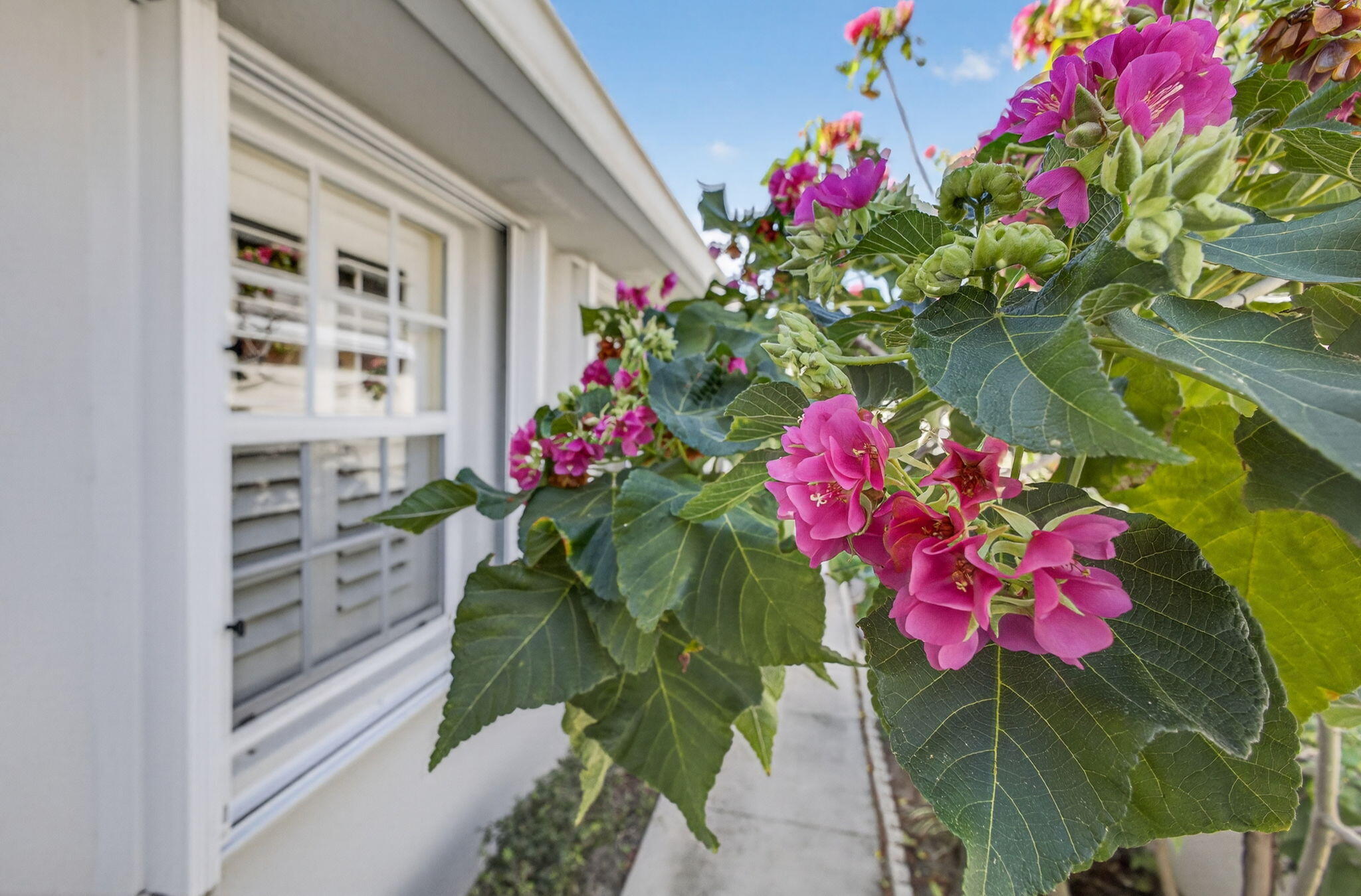 8323 Old Forest Road