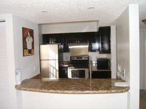 1120 Lake Shore Drive 204