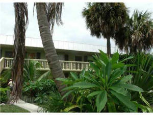 531 W Kalmia Drive Apt 4