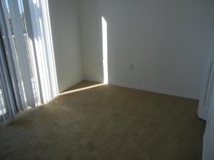 1209 Main Street Apt 304
