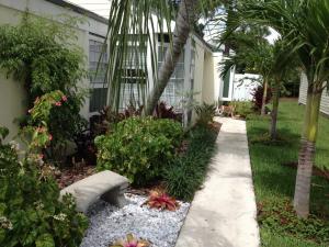 1389 Dandelion Lane