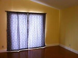 1389 Dandelion Lane