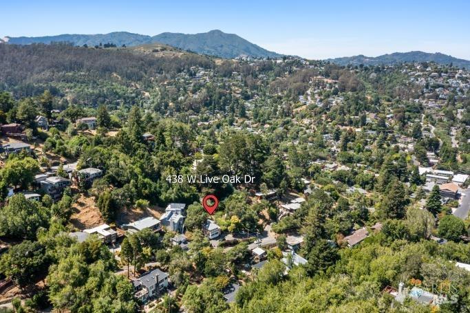 438 W Live Oak Dr